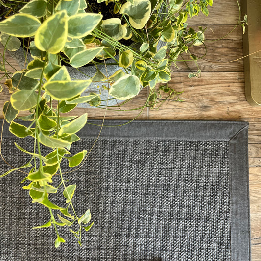 Gri kumaş bordürlü sisal halının köşesi, mat bir yüzeyde yeşil yapraklı sarkan bir bitki ile birlikte.