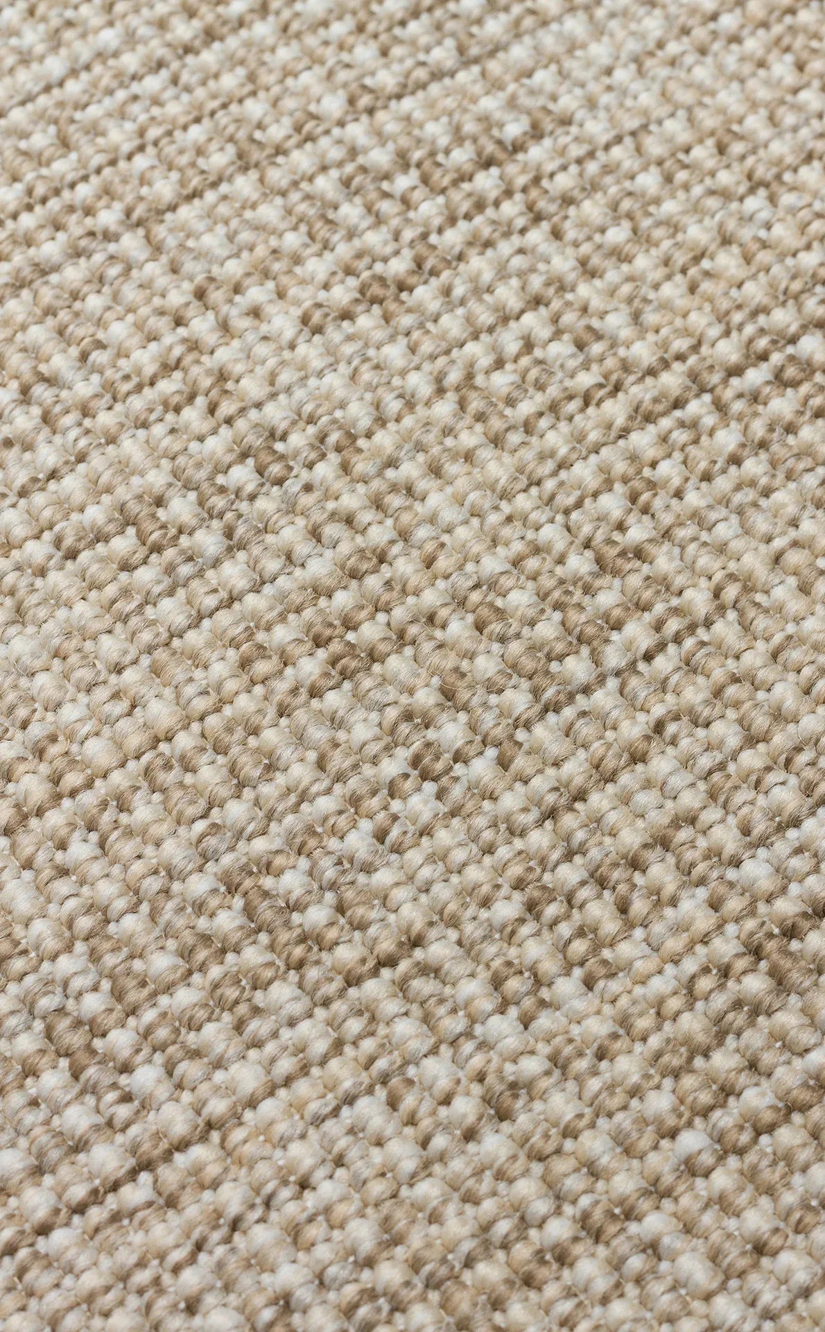 Siyah Kumaş Bordürlü Bej Sisal Halı - El Yapımı, Dayanıklı, Modern Tasarım - ZHR_2703_L.Beige_BRD_Black - HALI VAGONU
